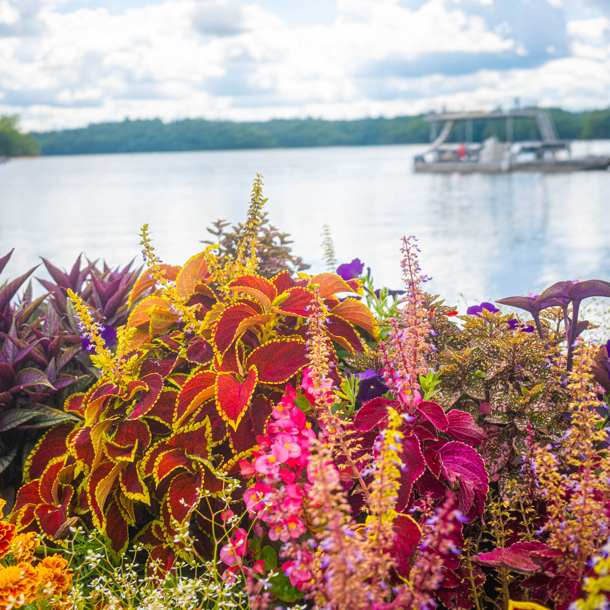 Holly Bay Marina Ky 21 - xdpt54n